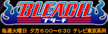 BLEACH - ブリーチ -