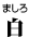 白（ましろ）