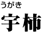 宇柿