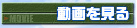 動画を見る