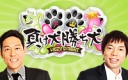 ＫＯＺＹ’Ｓ　ＮＩＧＨＴ　負け犬勝ち犬