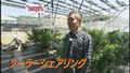 ソーラーシェアリングとは？