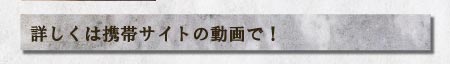 詳しくは携帯サイトの動画で！