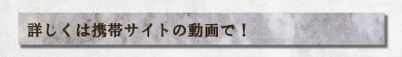詳しくは携帯サイトの動画で!