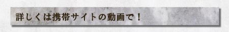 詳しくは携帯サイトの動画で！
