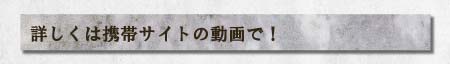 詳しくは携帯サイトの動画で！