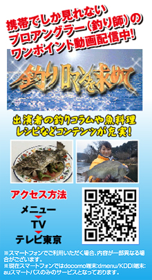 携帯サイトリニューアル！！