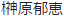 榊原郁恵