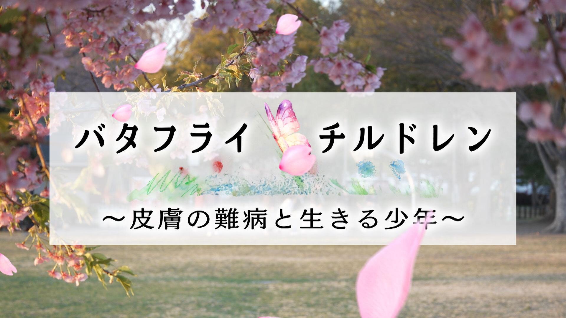 ザ・ドキュメンタリー バタフライチルドレン~皮膚の難病と生きる少年~