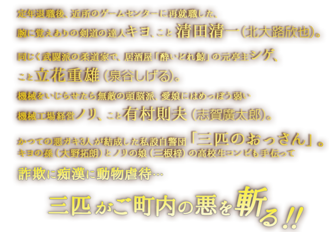 定年退職後、近所のゲームセンターに再就職した、腕に覚えありの剣道の達人キヨ、こと清田清一（北大路欣也）。同じく武闘派の柔道家で、居酒屋「酔いどれ鯨」の元亭主シゲ、こと立花重雄（泉谷しげる）。 機械をいじらせたら無敵の頭脳派、愛娘にはめっぽう弱い機械工場経営ノリ、こと有村則夫（志賀廣太郎）。かつての悪ガキ3人が結成した私設自警団「三匹のおっさん」。キヨの孫（大野拓朗）とノリの娘（三根梓）の高校生コンビも手伝って詐欺に痴漢に動物虐待…三匹がご町内の悪を斬る！！