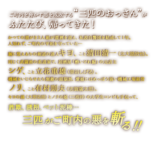 定年退職後、近所のゲームセンターに再就職した、腕に覚えありの剣道の達人キヨ、こと清田清一（北大路欣也）。同じく武闘派の柔道家で、居酒屋「酔いどれ鯨」の元亭主シゲ、こと立花重雄（泉谷しげる）。 機械をいじらせたら無敵の頭脳派、愛娘にはめっぽう弱い機械工場経営ノリ、こと有村則夫（志賀廣太郎）。かつての悪ガキ3人が結成した私設自警団「三匹のおっさん」。キヨの孫（大野拓朗）とノリの娘（三根梓）の高校生コンビも手伝って詐欺に痴漢に動物虐待…三匹がご町内の悪を斬る！！