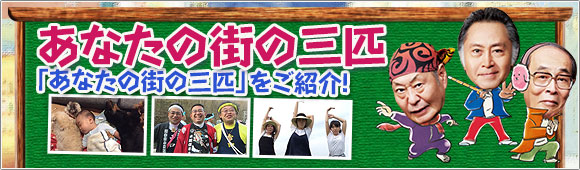 「あなたの街の３匹」をご紹介！
