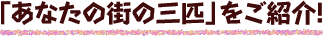 「あなたの街の三匹」をご紹介！