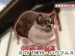薬丸印の新名物