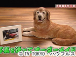 薬丸印の新名物