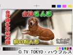 薬丸印の新名物