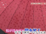 薬丸印の新名物