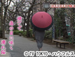 薬丸印の新名物