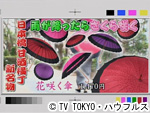 薬丸印の新名物