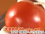 薬丸印の新名物