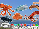 薬丸印の新名物