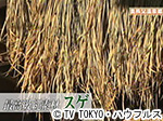 薬丸印の新名物