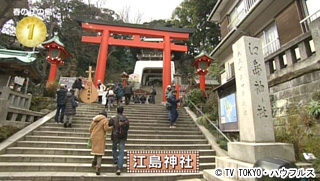 春の江の島