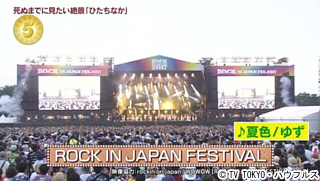 ROCK IN JAPAN FESTIBAL 2018 4日通し入場券ペア（GAKU-MC OFFICIAL 