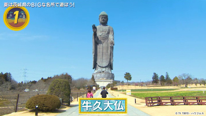 BIGな茨城