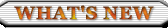 �ŐV���
