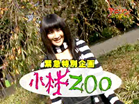 第21回