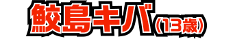 鮫島キバ