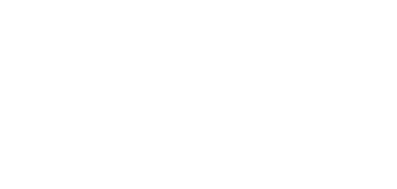 Bluey　ブルーイ