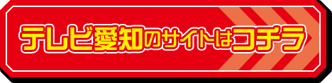 テレビ愛知のサイトはコチラ