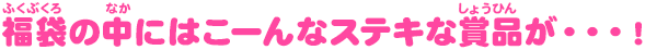 福袋の中にはこーんなステキな賞品が・・・！