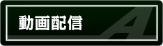 動画配信