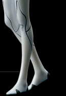 ����t�B�M���A����ʐM�̔�