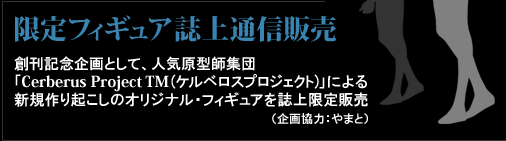 ����t�B�M���A����ʐM�̔�