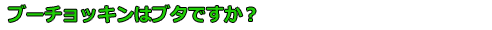 ブーチョッキンはブタですか？