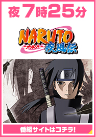 ＮＡＲＵＴＯ疾風伝