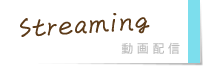 動画配信