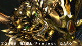 ��T-GARO-