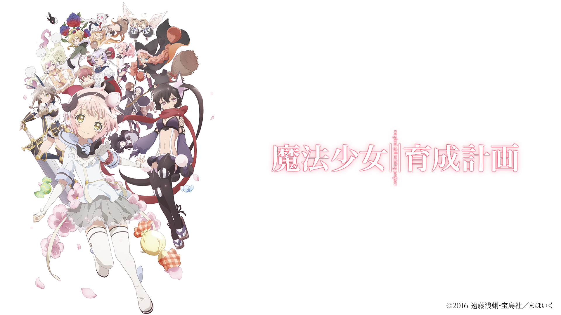 魔法少女育成計画 テレビ東京アニメ公式
