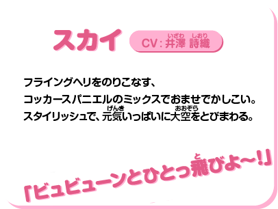スカイ：プロフィール