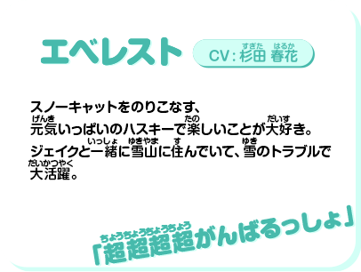 エベレスト：プロフィール
