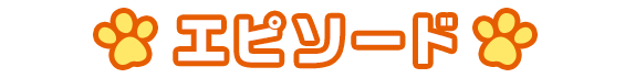 エピソード