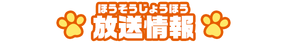 放送情報