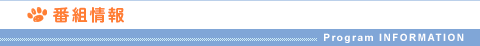 番組情報