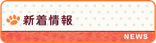 新着情報