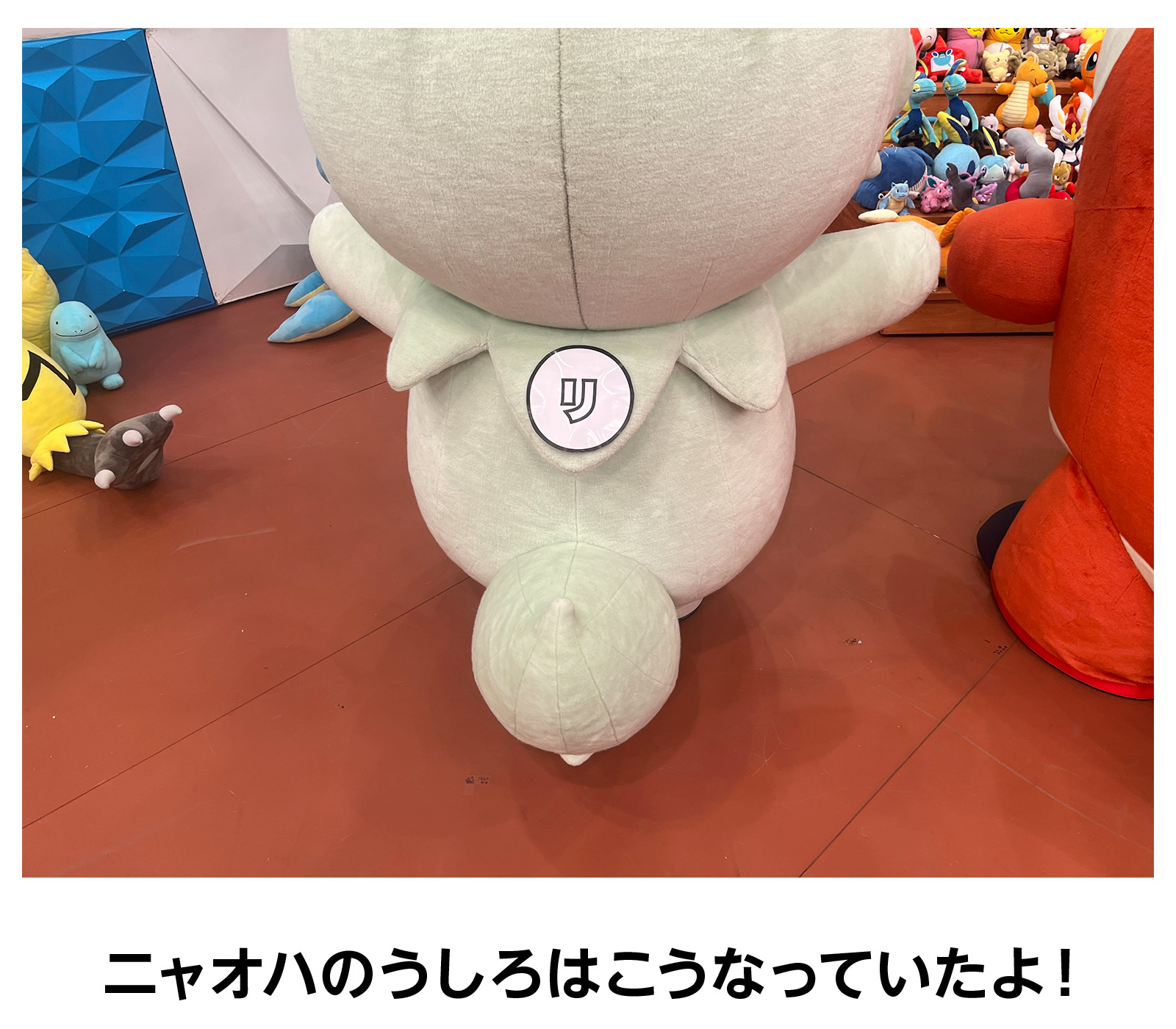 ニャオハのうしろはこうなっていたよ!